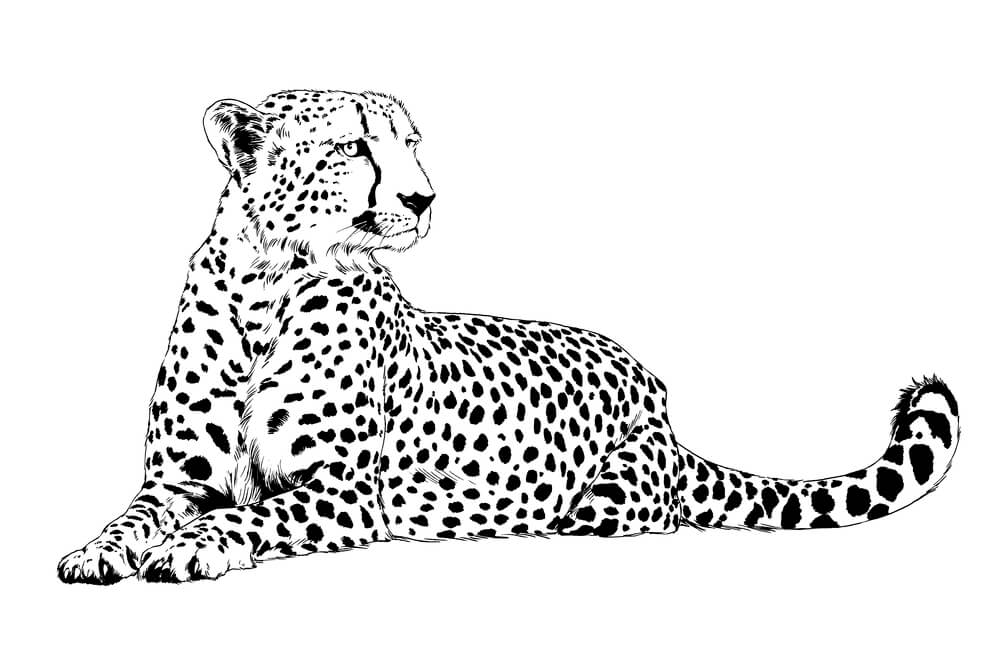 Running Cheetah hand-drawn with ink on white background logo tattoo