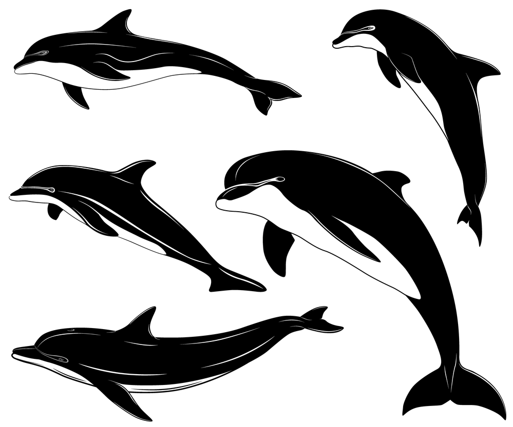 Set of various dolphins, tattoo